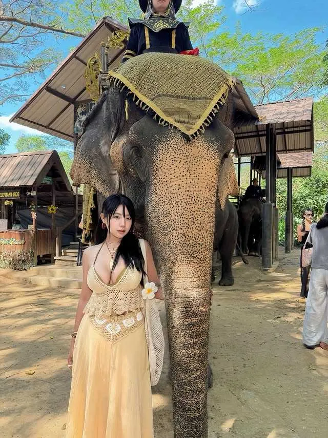 AsiaSharkyx น้องฉลาม เปิดวาร์ป ประวัติ chalamxxx ช่องทางติดตาม 20
